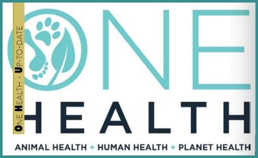 One Healtih